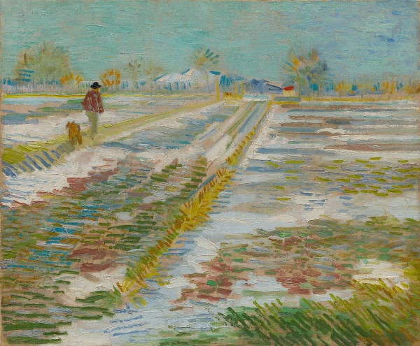 Da Van Gogh a Picasso, cinquanta capolavori in mostra 