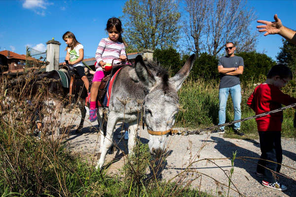 Torna il Festival della Biodiversità 