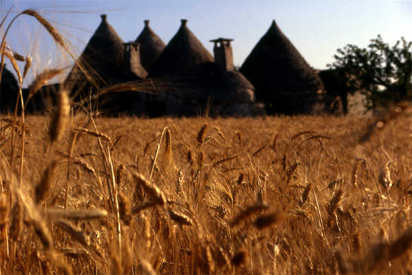 Puglia, A Way Of Life: illustrato alla Stampa Estera il modello di turismo sostenibile della Regione Puglia, A Way Of Life: illustrato alla Stampa Estera il modello di turismo sostenibile della Regione