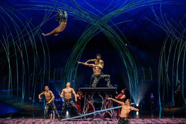 Stasera in TV: Omaggio al Cirque du Soleil: "Amaluna"