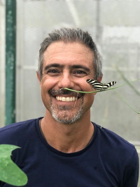 Il colore delle farfalle: le ricerche di Riccardo Papa pubblicate in tre prestigiose riviste
