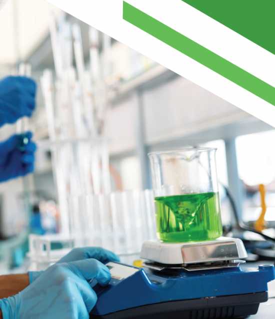 Parma 2020 - Facciamo Conoscenza, la Scienza protagonista al Dipartimento SCVSA dell’Università di Parma