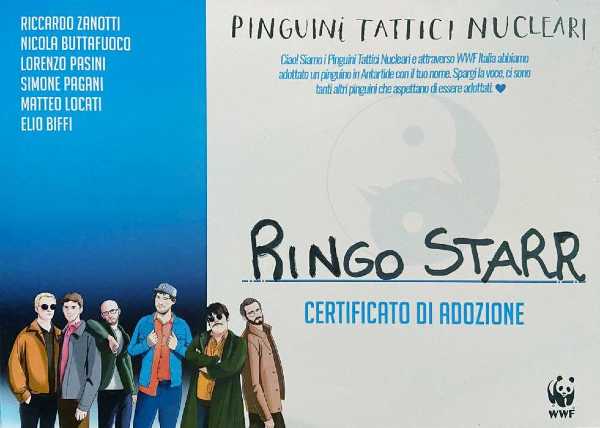 Pinguini Tattici Nucleari: con WWF Italia hanno adottato 100 pinguini imperatore
