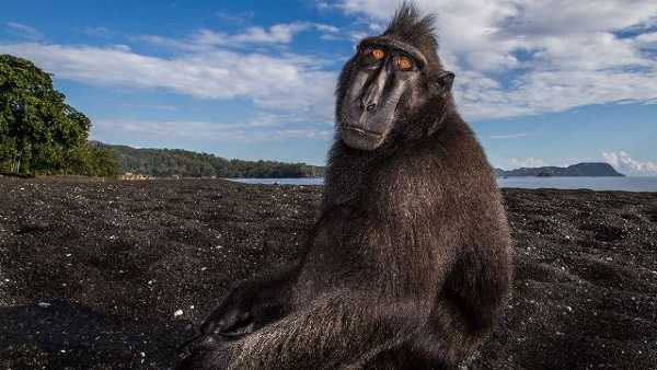 Oggi in TV: "Le terre del monsone". Strani naufraghi