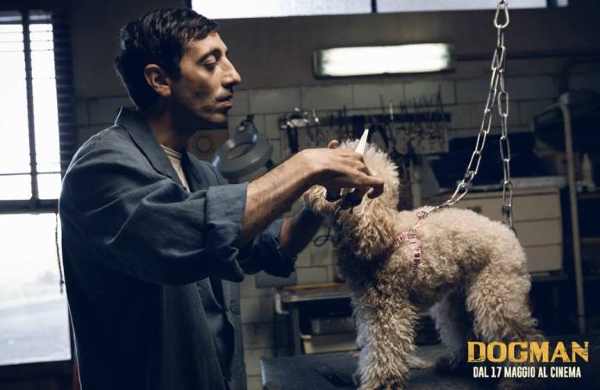 Stasera in TV: "Speciale Tg1 "Sembravano applausi". La storia vera dell'interprete di Dogman