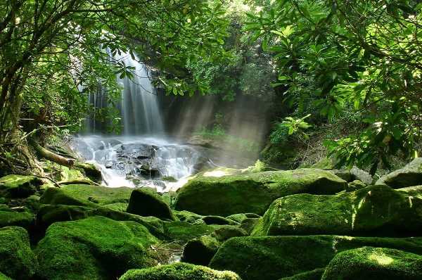 Oggi in TV: "Racconti di luce". Natura selvaggia