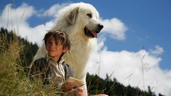 Stasera in TV :"L'ultimo capitolo di "Belle e Sebastien. Amici per sempre" su Rai1". Un film per tutta la famiglia sull'importanza dell'amicizia
