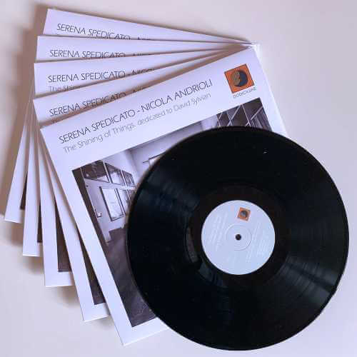 Esce in vinile “The Shining of Things. Dedicated to David Sylvian" di Serena Spedicato e Nicola Andrioli