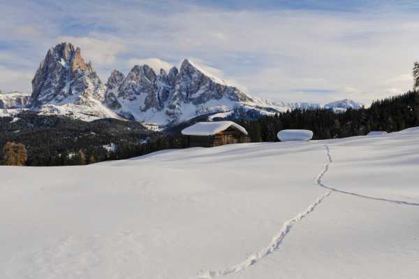 Stasera in TV: "Gli uomini e le leggende dell'Alpe di Siusi". Su Rai5 "Di là dal fiume e tra gli alberi"