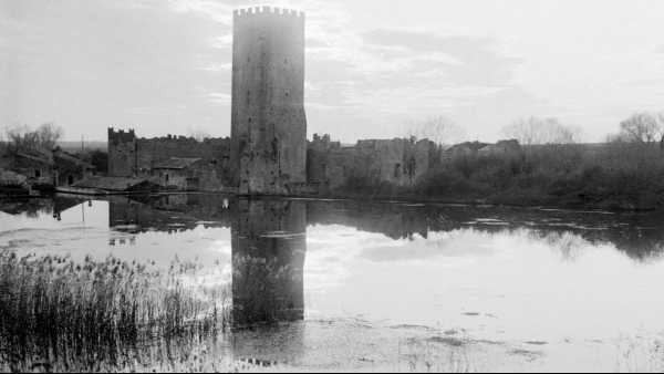 Oggi in TV: "Rai 5 (canale 23) svela i "Misteri delle paludi americane"". Atchafalaya, la palude fluviale