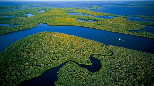 Oggi in TV: "Rai5 (canale 23) svela le incredibili forze della natura". Il colore: il linguaggio segreto del pianeta