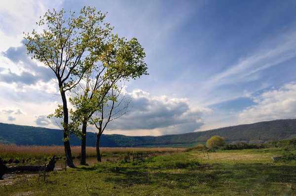 Da oggi al 24 maggio la prima edizione della “Settimana della natura”