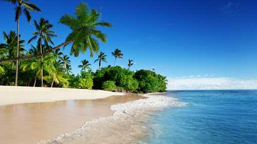 Oggi in TV: "Le isole di "Wild Caraibi" su Rai5 (canale 23)". Tra balene e vulcani