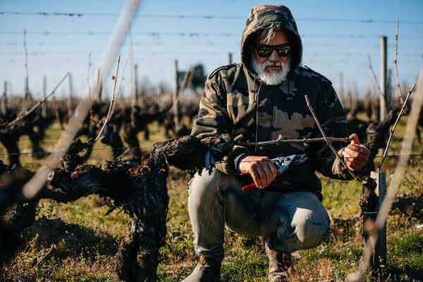 Marco Simonit: "Italiani, volete lavorare in vigna? Preparatevi, c'è lavoro per tutti!"