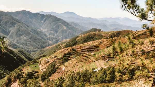 Oggi in TV: "Su Rai5 (canale 23) "Wild Filippine"". Il regno della biodiversità