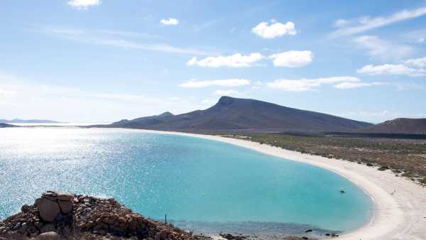 Stasera in TV: "Tra le "Isole della Bassa California"". Su Rai5 (canale 23) "l'acquario del mondo"