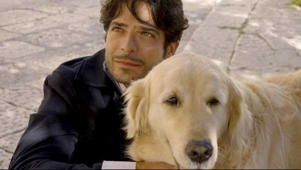 Stasera in TV: "Il "Nuovo Cinema Italia" di Rai5 (canale 23)". Italo, storia di un cane randagio