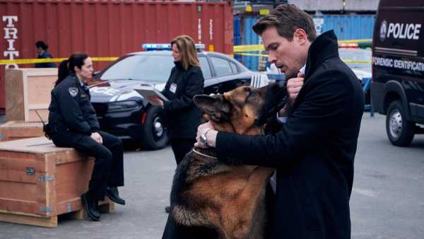 Stasera in TV: Due nuovi episodi di "Hudson & Rex" su Rai3 - Con John Reardon, Mayko Nguyen, Kevin Hanchard e Justin Kelly