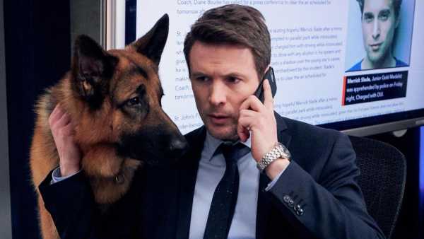 Stasera in TV: Su Rai3 "Hudson & Rex" - Con John Reardon, Mayko Nguyen, Kevin Hanchard, Justin Kelly
