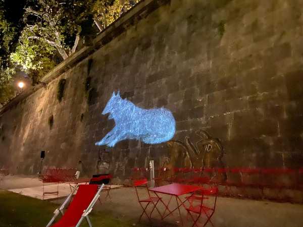 A "PIAZZA TEVERE" Tornano le lupe sui muraglioni del fiume. Proiezioni con ingresso libero