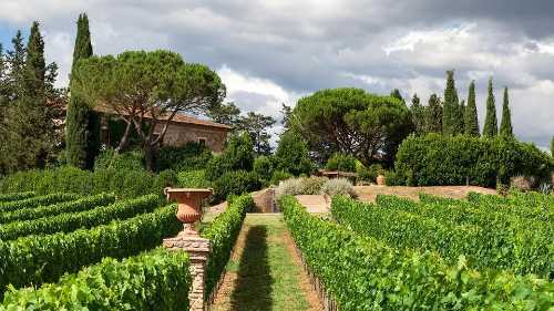 San Michele: un onomastico "divino" per un Super Tuscan d'eccezione