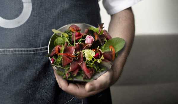 Friuli Venezia Giulia. La Nuova Cucina - Rinviate le ultime due cene-laboratorio del ciclo autunnale