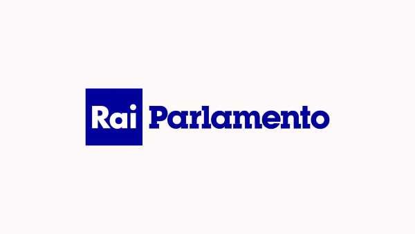 Oggi in TV: Su Rai2 e Rai3 tre appuntamenti con Rai Parlamento - Conte al Senato, Relazione Inps alla Camera, Question Time al Senato