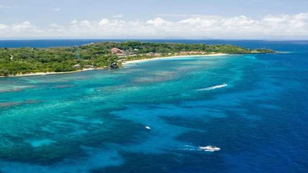 Oggi in TV: Rai5 (canale 23) racconta "Wild Caraibi" - Predatori dei Caraibi