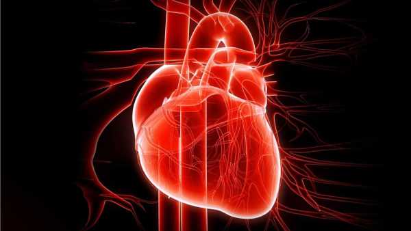 Oggi in TV: A "Elisir" si parla di cuore, ferite e ustioni, natura e benessere - La medicina su Rai3 con Michele Mirabella e Benedetta Rinaldi