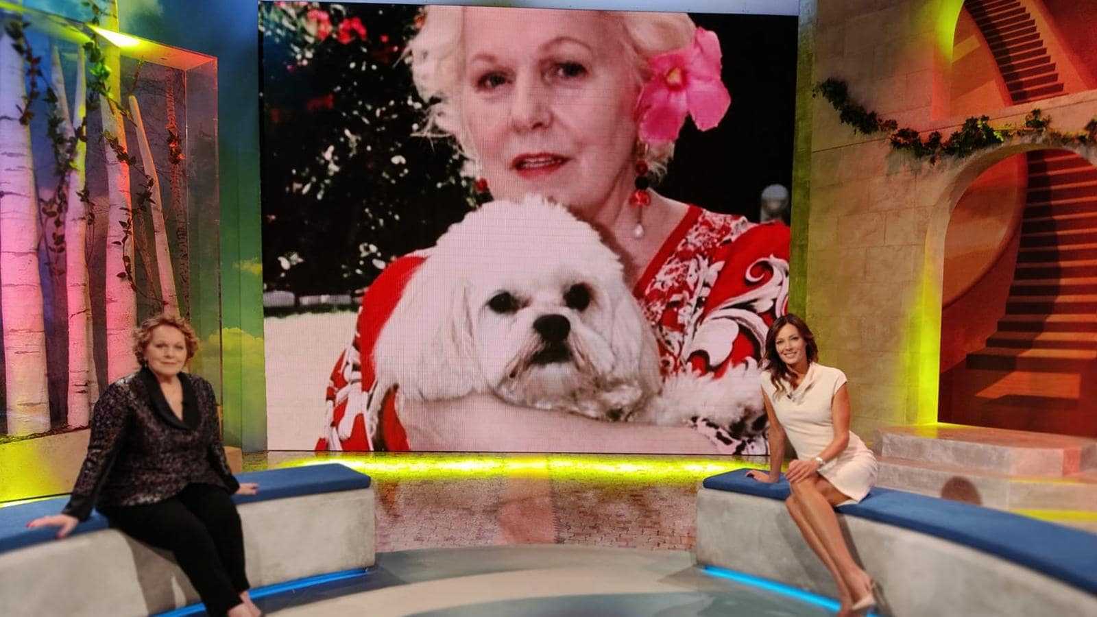 Oggi in TV: "Sulla via di Damasco" su Rai2 - Faccia a faccia con Katia Ricciarelli