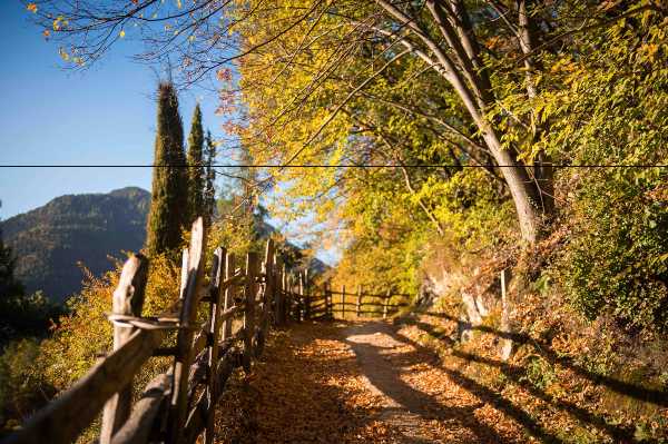 A Lana di corsa! Dal jogging all’uphill, percorsi per tutti nella natura