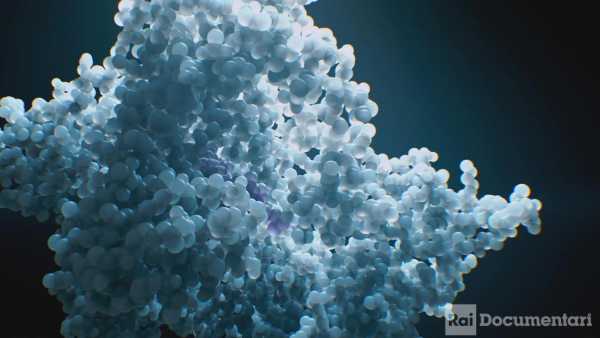Stasera in TV: In un doc di Rai Documentari un'intervista esclusiva alle vincitrici del Nobel "Crispr - Il codice della vita" su Rai2