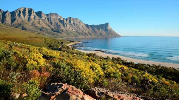 Oggi in TV: Rai5 (canale 23) racconta "I tesori segreti del Sudafrica" - Kogelberg, le montagne delle diversità