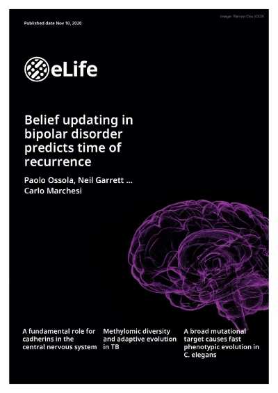 Le conseguenze del pessimismo sul disturbo bipolare: pubblicato su eLife studio dell’Università di Parma