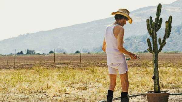 Cineteca Milano: disponibili in streaming 10 nuovi film di qualità in versione originale