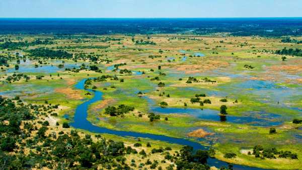 Oggi in TV: I "Risvegli" di Rai5 (canale 23) - Il delta dell'Okavango