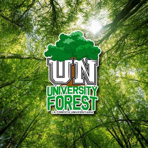 UNIVERSITY NETWORK e TREEDOM lanciano "LA FORESTA UNIVERSITARIA" - a portata di click l'invito per contribuire ad un pianeta più verde e rigoglioso per le nuove generazioni