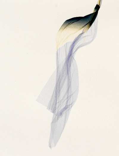 Beatrice Pediconi alla z2o Sara Zanin Gallery di Roma: "Nude", 5 febbraio-27 marzo 2021