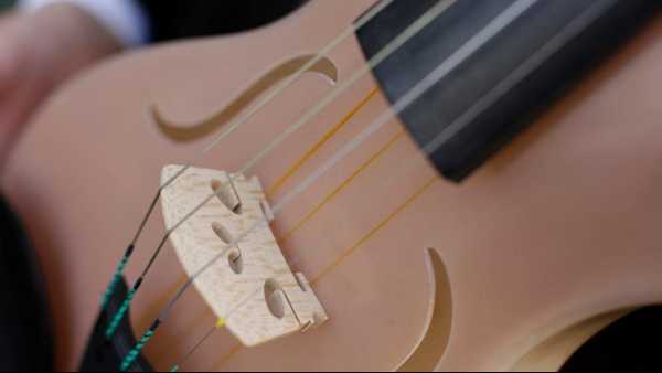 Stasera in TV: Musica da camera con vista. Su Rai5 cicli e metamorfosi