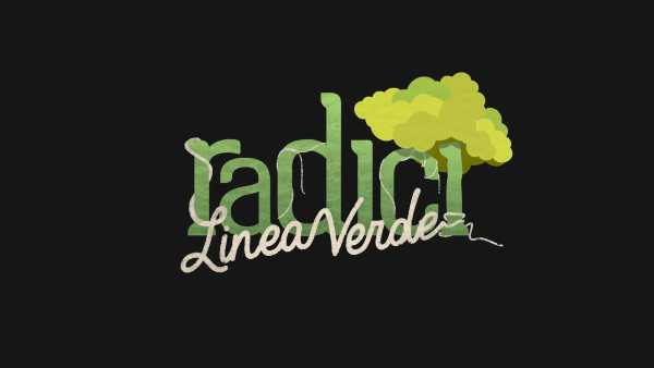 Oggi in TV: "Linea verde radici" nelle Marche alla scoperta del Monte Conero - Conduce Angela Rafanelli su Rai1