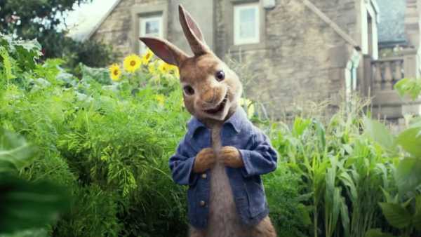 Oggi in TV: Arriva su Rai Gulp (canale 42) il film "Peter Rabbit" - L'amato coniglietto è il protagonista di questa simpatica e divertente commedia