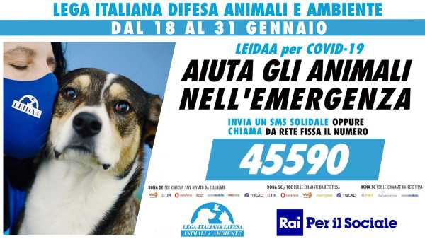 Oggi in Radio: A "Questioni di Stilo" La Campagna solidale per gli animali - Su RadioLive Maria Vittoria Brambilla, presidente LEIDAA