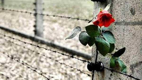 Oggi in TV: "Prima Fila" ricorda la Shoah - Su Radio1 lo sguardo culturale sulla tragedia con tutti i libri e i convegni previsti nel giorno della Memoria