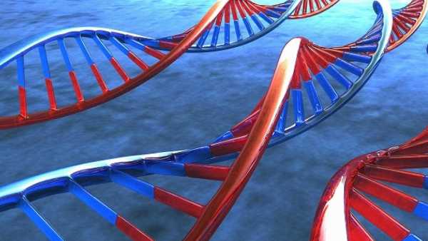 Oggi in TV: La tecnologia RNA e i problemi psichici da pandemia a "Basta La Salute" - Su RaiNews24 con Gerardo D'Amico