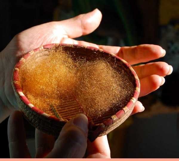 CuriosArte: Le donne dell'acqua e la seta del mare.