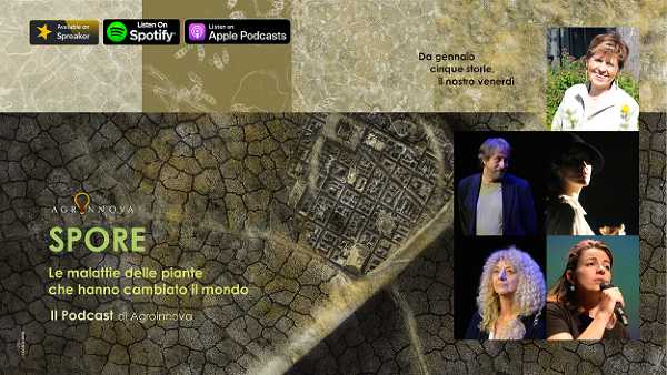 AGROINNOVA - Le malattie delle piante che hanno cambiato il mondo - arriva il podcast Spore