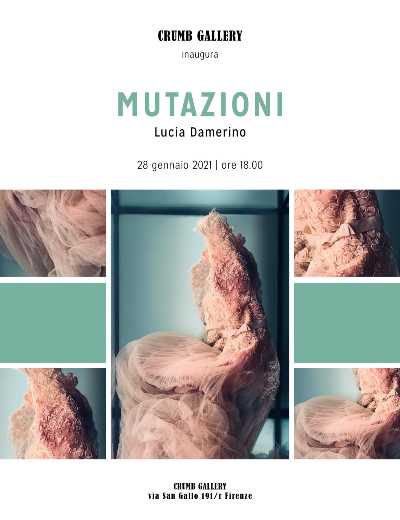 CRUMB GALLERY Firenze: MUTAZIONI - Lucia Damerino