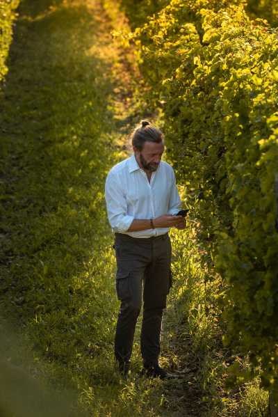 Premiati i primi vigneti italiani con Indice Bigot sopra i 90 - Il metodo misura la reale qualità di un vigneto e indica i fattori su cui intervenire per migliorarla