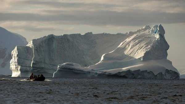 Oggi in TV: Su Rai5 "Wildest Antarctic" - Viaggio nel continente antartico Oggi in TV: Su Rai5 "Wildest Antarctic" - Viaggio nel continente antartico
