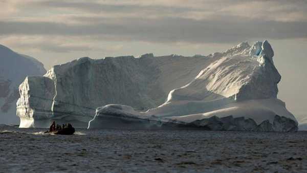Oggi in TV: Su Rai5 "Wildest Antarctic" - Viaggio nel continente antartico